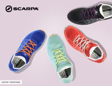 Scarpa