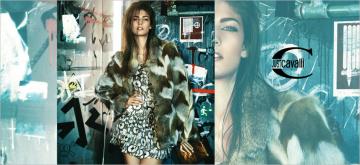 Just Cavalli