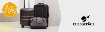Reisegepäck