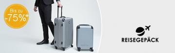 Reisegepäck
