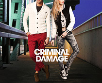 Criminal Damage