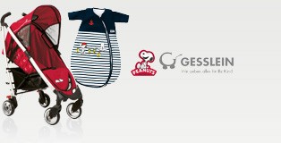 Gesslein
