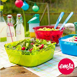 Emsa