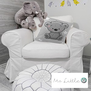 Mr Little Fox