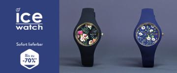 Ice-watch