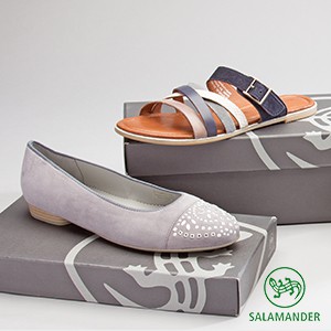 Salamander