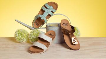 Scholl
