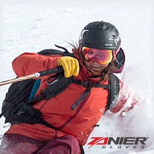 Zanier