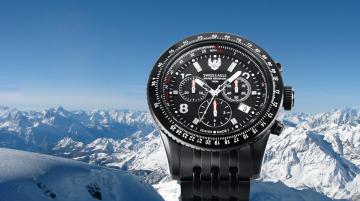 Swiss Eagle