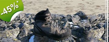 Scarpa