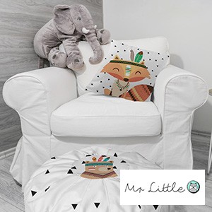 Mr Little Fox