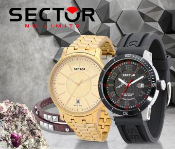 Sector