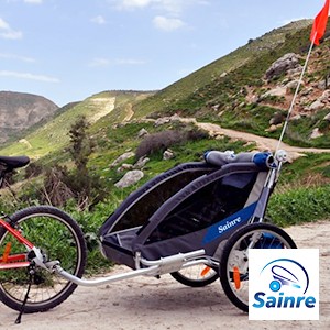 Sainre