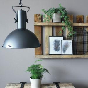 Steinhauer Lighting
