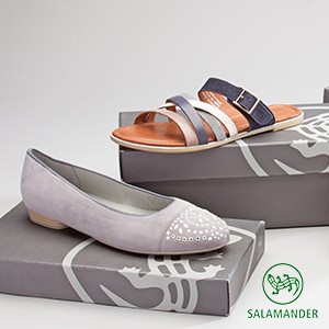 Salamander
