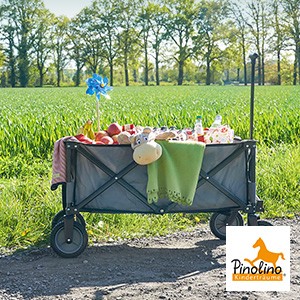 Pinolino