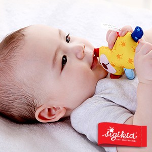 Sigikid