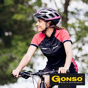 Gonso