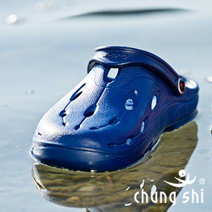 Chung Shi