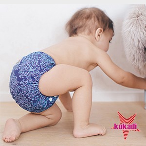 Kokadi