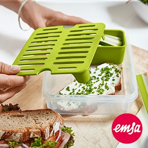 Emsa