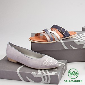 Salamander