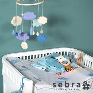 Sebra