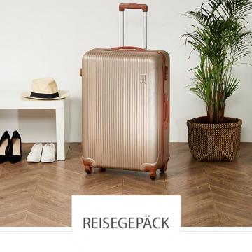 REISEGEPÄCK