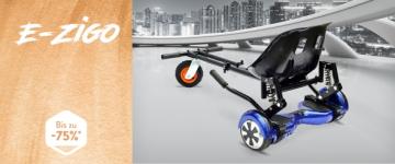 E-Zigo