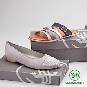 Salamander