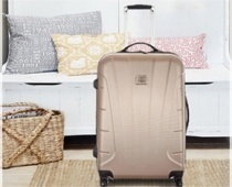 Ines de la Fressange