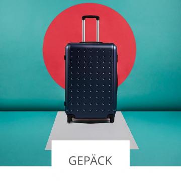 GEPÄCK