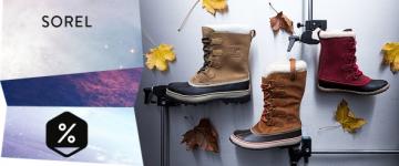 Sorel