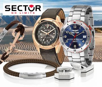 Sector