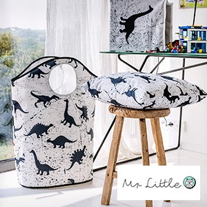 Mr Little Fox