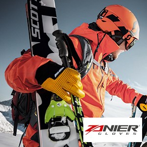 Zanier