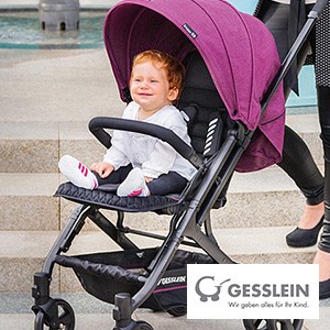 Gesslein