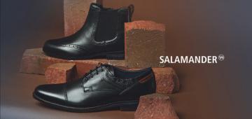 Salamander