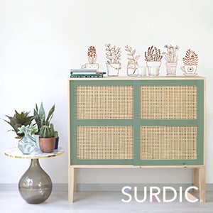 Surdic
