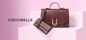 Coccinelle