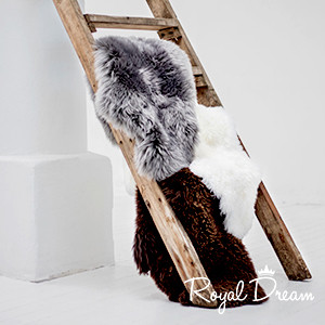Royal Dream
