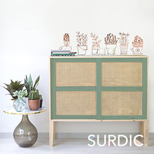 Surdic