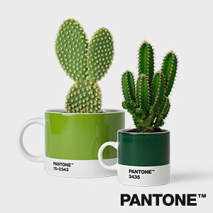 Pantone