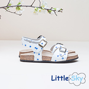 Little Sky