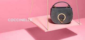 Coccinelle