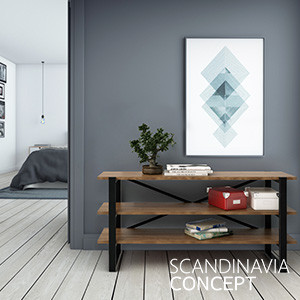 Scandinavia Concept