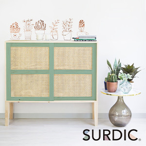 Surdic