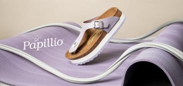 Papillio