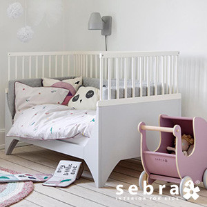 Sebra