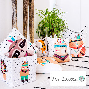 Mr Little Fox